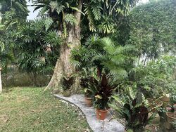 MARGOLIOUTH ROAD (D10), Detached #497944321